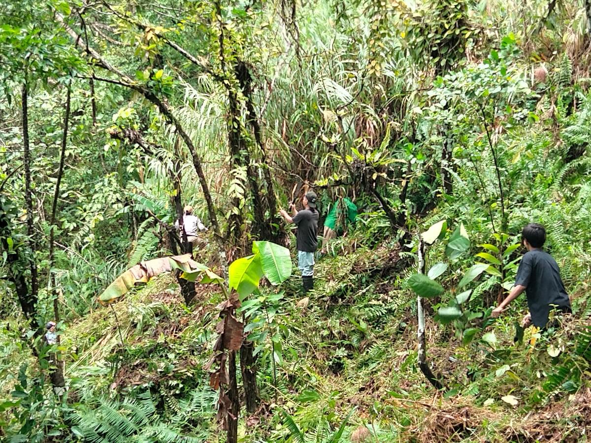 Section image