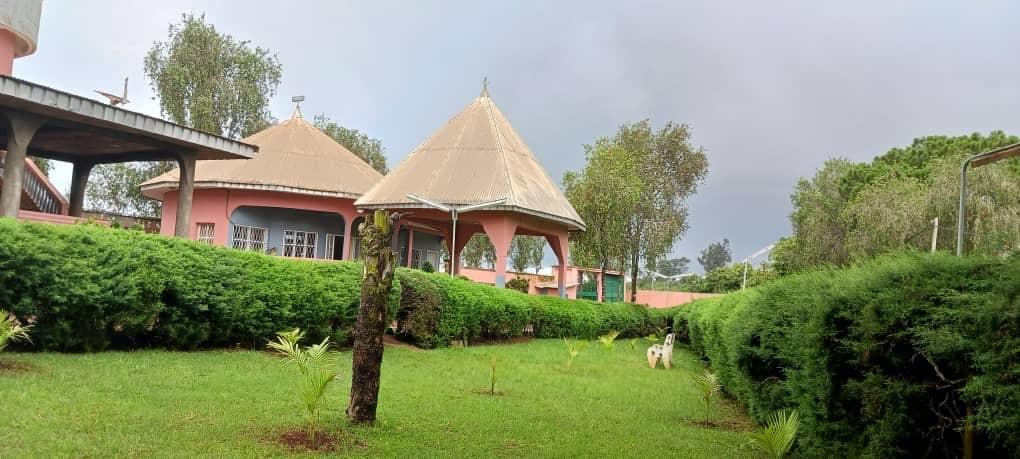 We offer tailored services to organize your events, whether they are seminars, weddings, or private parties, with impeccable service and special attention to detail. Special Events Our Mission Service of restoration and of accommodation