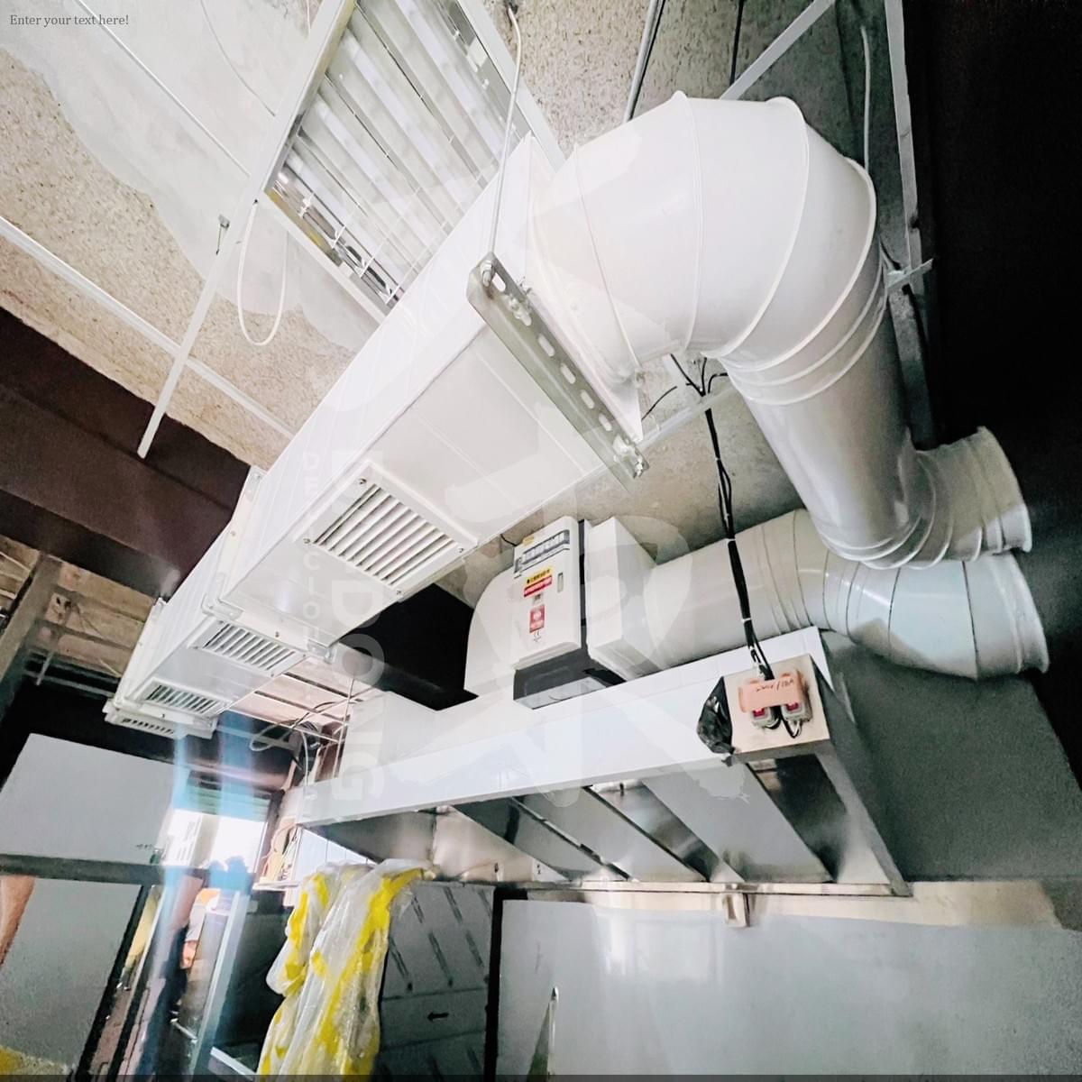 台南知名寵物餐廳