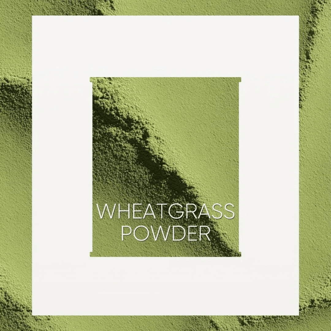 Llamito ผงต้นอ่อนข้าวสาลี ออร์แกนิค (Organic Wheat Grass Powder) ขนาด 250g