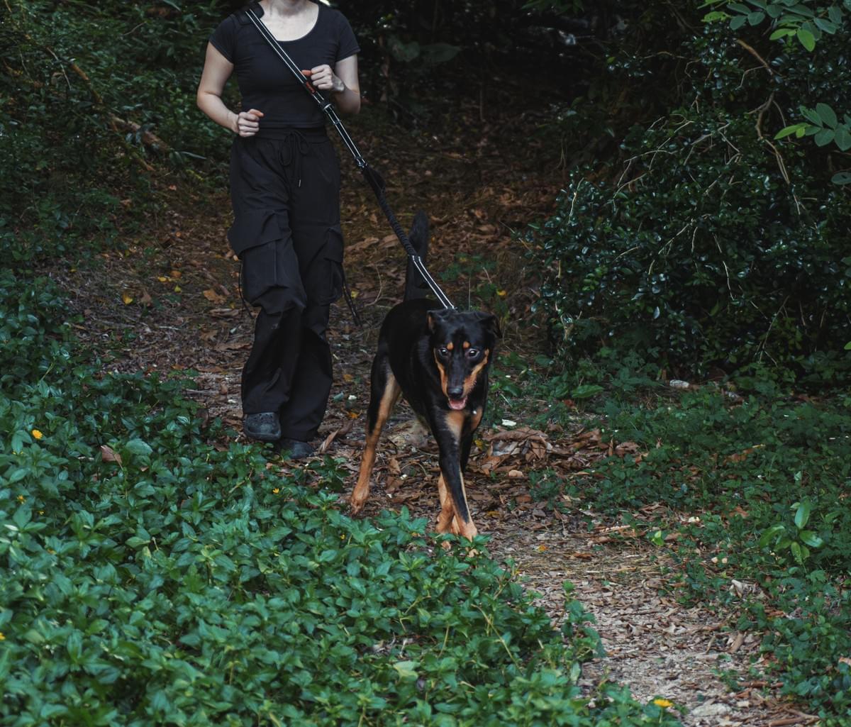 We are committed to providing high-performance and professional equipment for medium and large dogs, especially bulldogs. Our products are centered on reliability and safety, aiming to enhance every adventure experience you have with your beloved dog. Thrego pet equipment 1. Company/Brand Introduction
Company Name: Shenzhen Weiyue E-commerce Co., Ltd.
Brand/Project Name: Thrego Pet Equipment
Positioning Slogan: Focused on the research and sales of professional functional equipment for medium and large dogs (especially bulldogs). "Connect, then set off," full of dynamism and power. Vitality Connection: Represents a positive and vibrant lifestyle, the product is a reliable connection that opens every joint adventure.