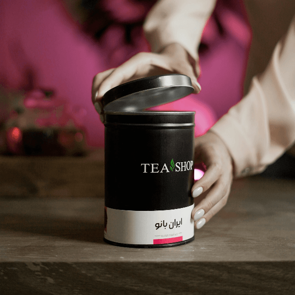 biodegradable-cardboard-tea-packaging-B2B