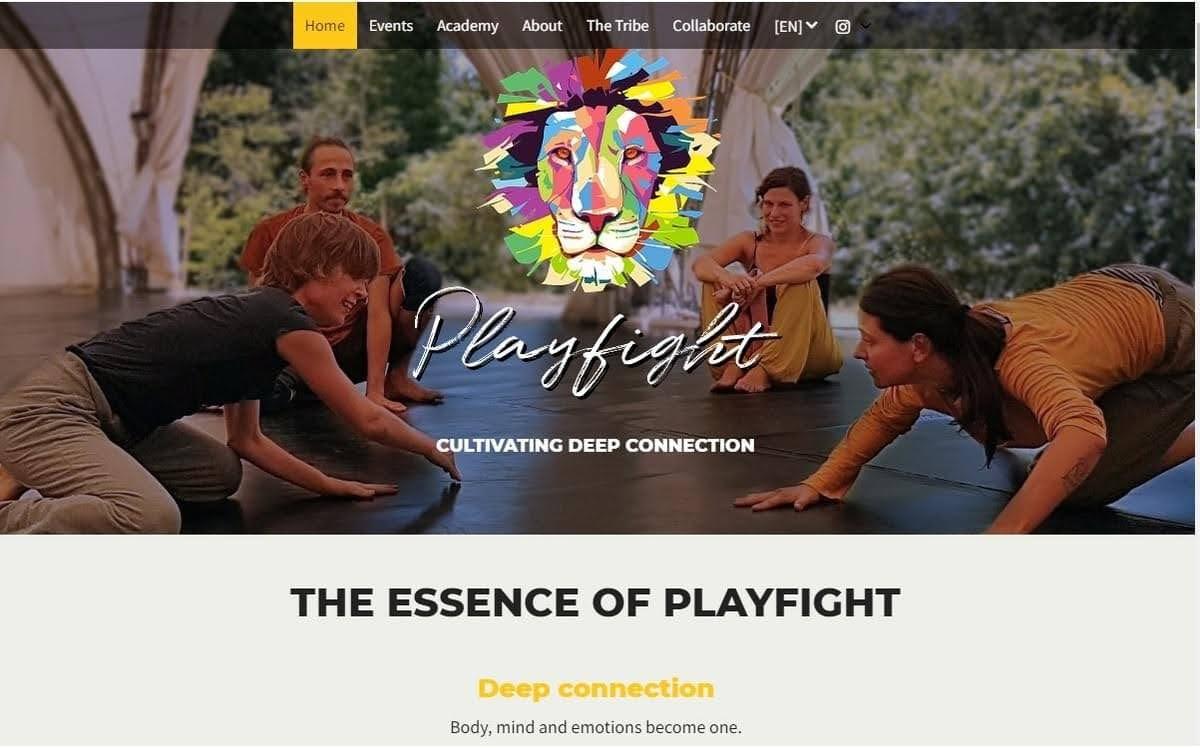 Sitio web de Playfight