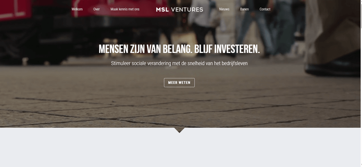 MSL Ventures-sjabloon van Strikingly