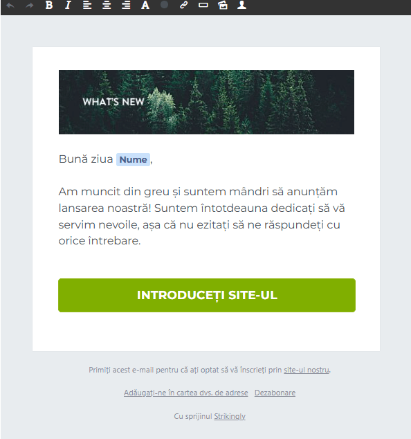 Redactor al buletinului informativ Strikingly