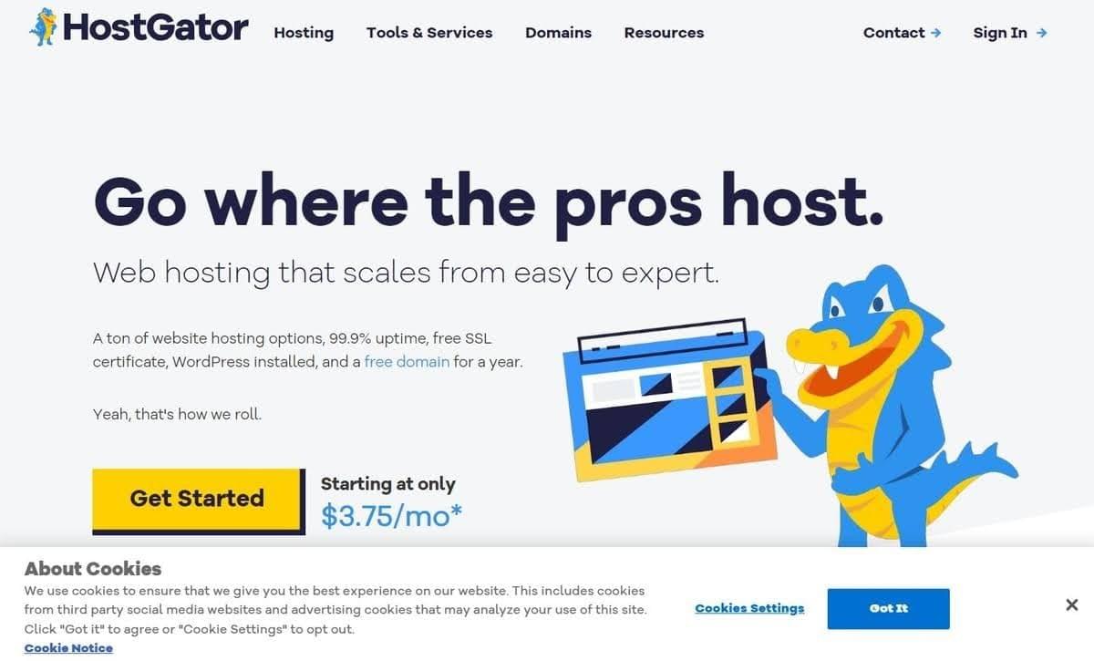 Imagen tomada de Hostgator