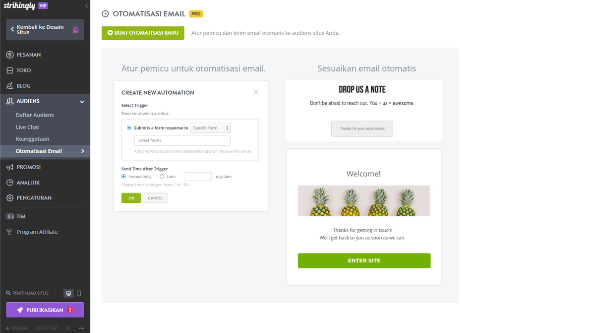 Personalisasi Email dengan Strikingly - Email Transaksional