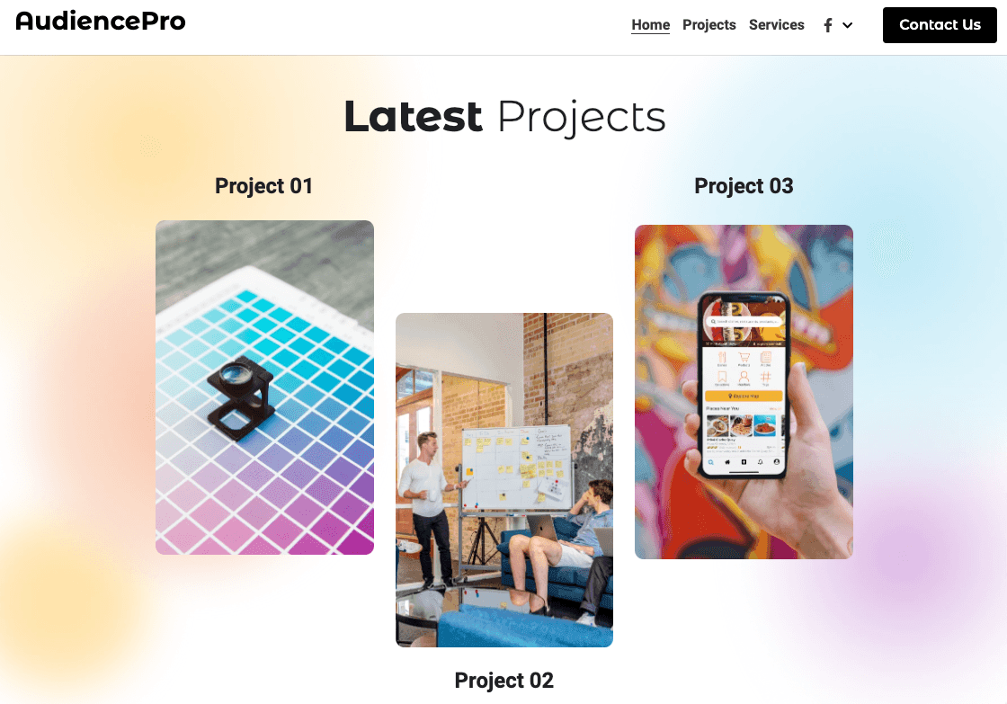 Template Audience Pro dari Strikingly