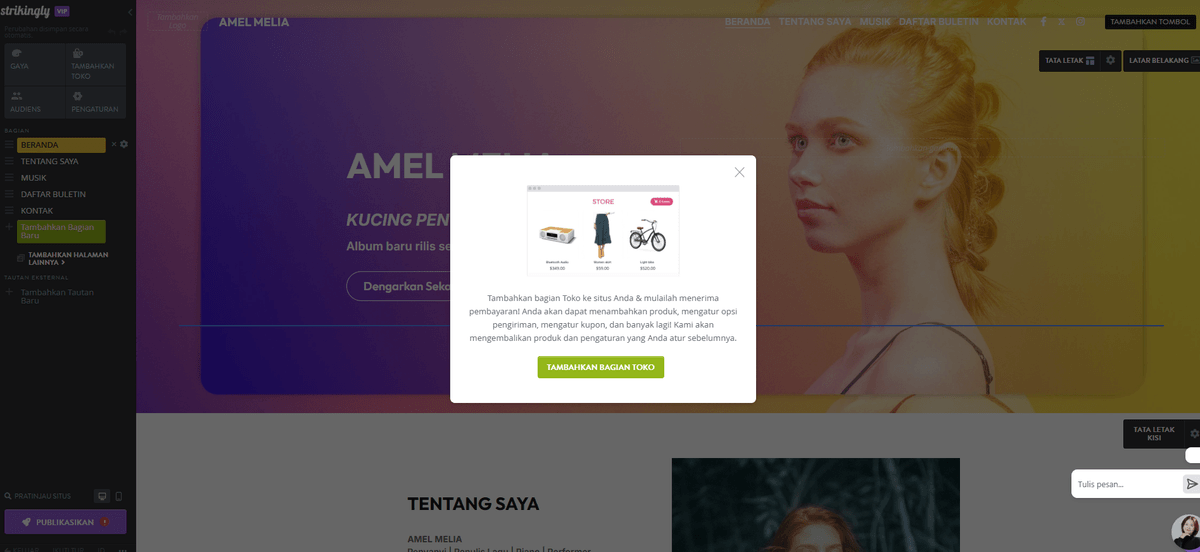 Mencolok - Membangun Situs Web Musik - Kemampuan E-commerce