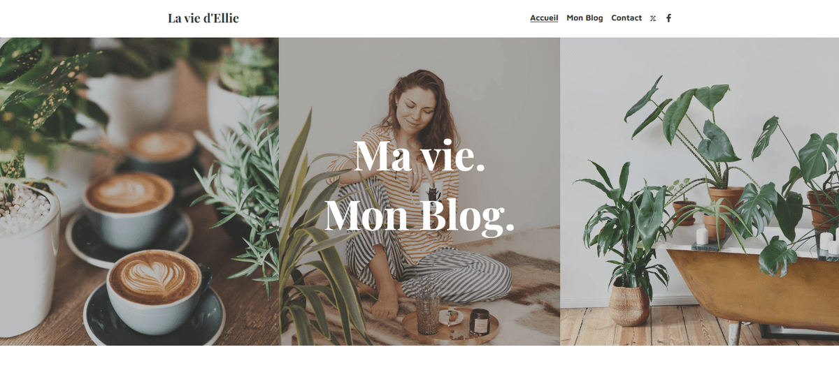 Modèle de blog de mode