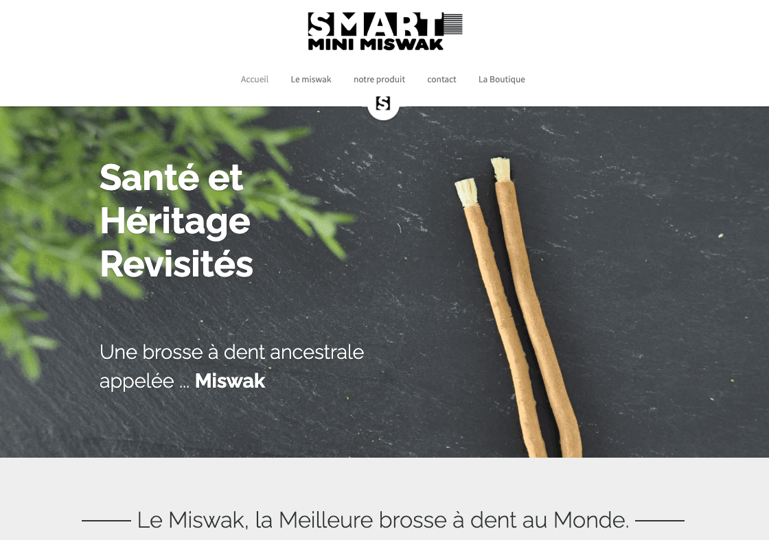 Mini Miswak intelligent