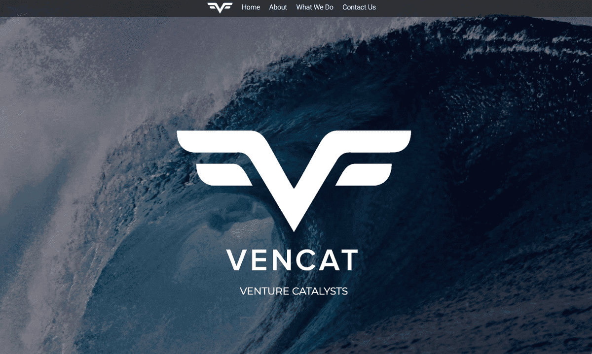 Sitio web de Venture Catalyst