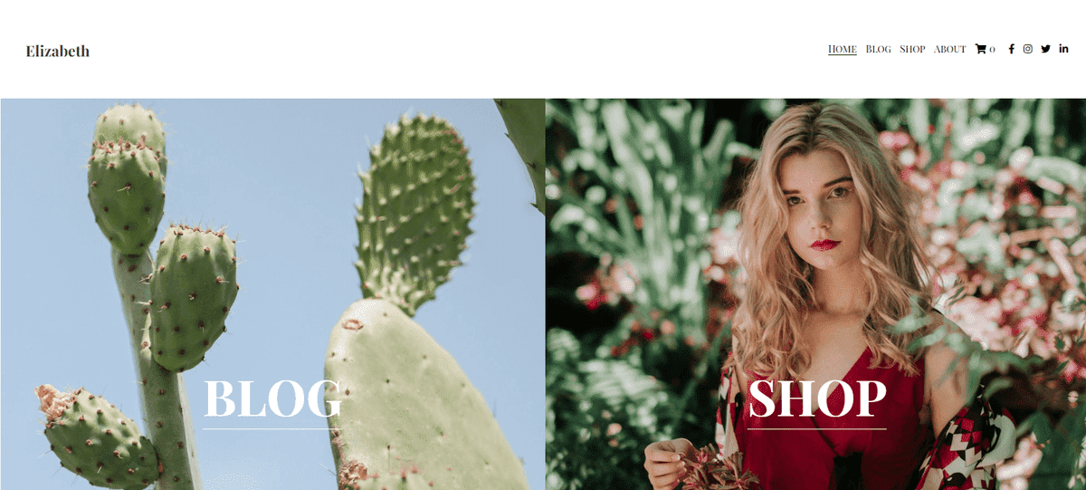 Plantilla de suculentas de Strikingly