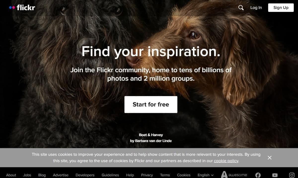 Imagen tomada de Flickr