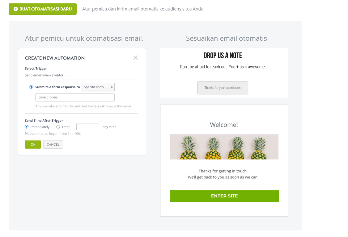 Fitur Email Otomatis yang Luar Biasa
