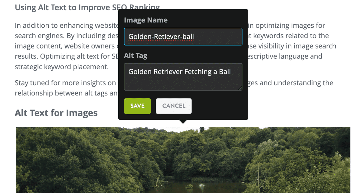 Alternativní text pro obrázky blogu