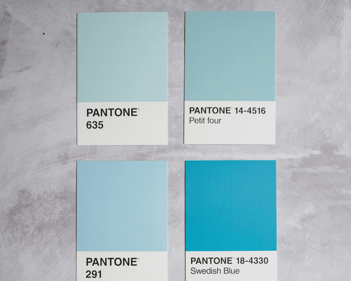 Conception de site web minimaliste mettant en valeur une palette de couleurs cohérente