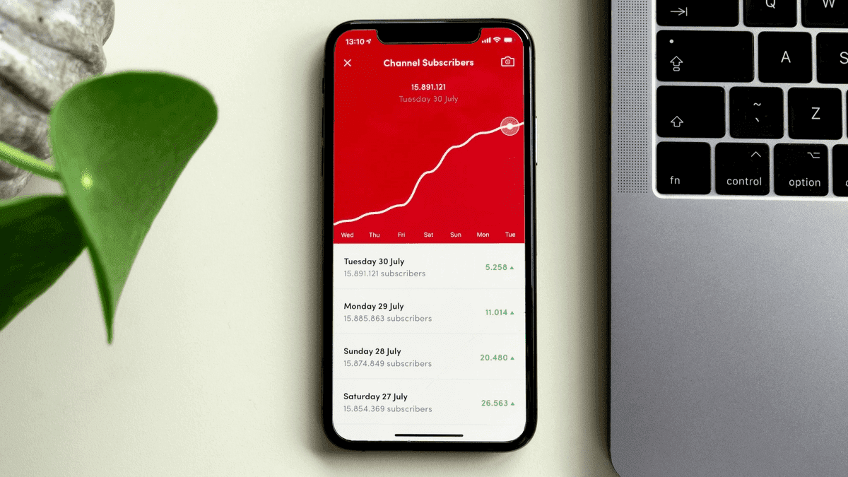 Análisis del flujo de caja