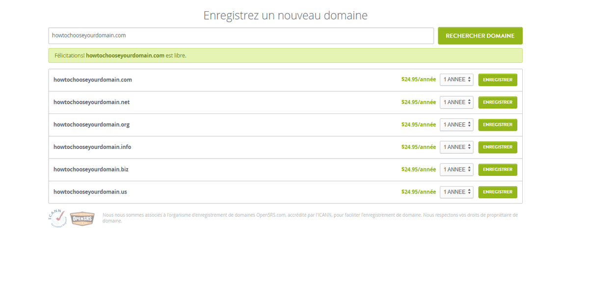 Page d'enregistrement de domaine Strikingly