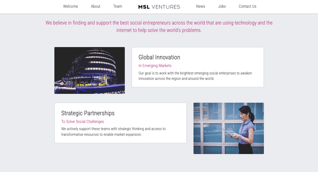 Plantilla MSL Ventures de Strikingly