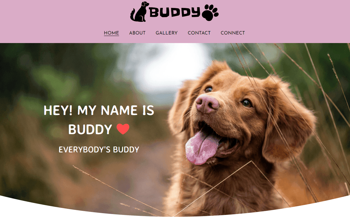 Plantilla de amigo de Strikingly