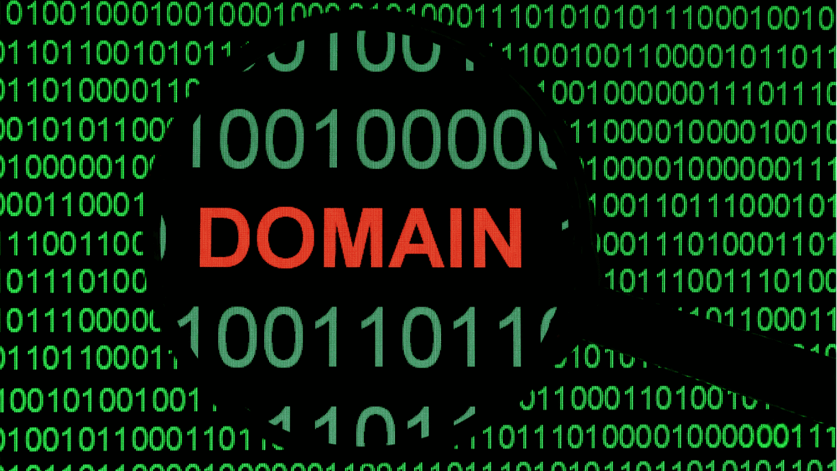 Protegiendo su nombre de dominio