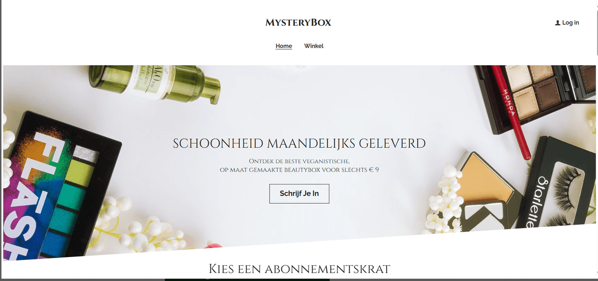 Online bijbaan: e-commerce