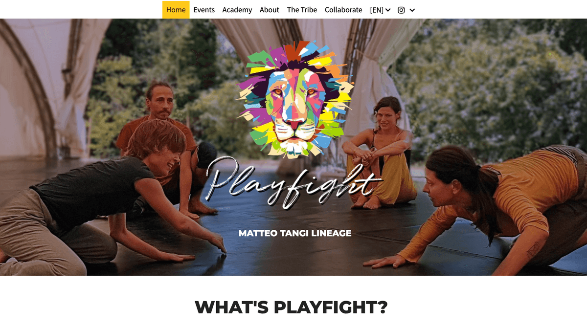Situs web Playfight