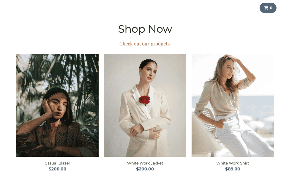 Template Toko Online Perspektif dari Strikingly