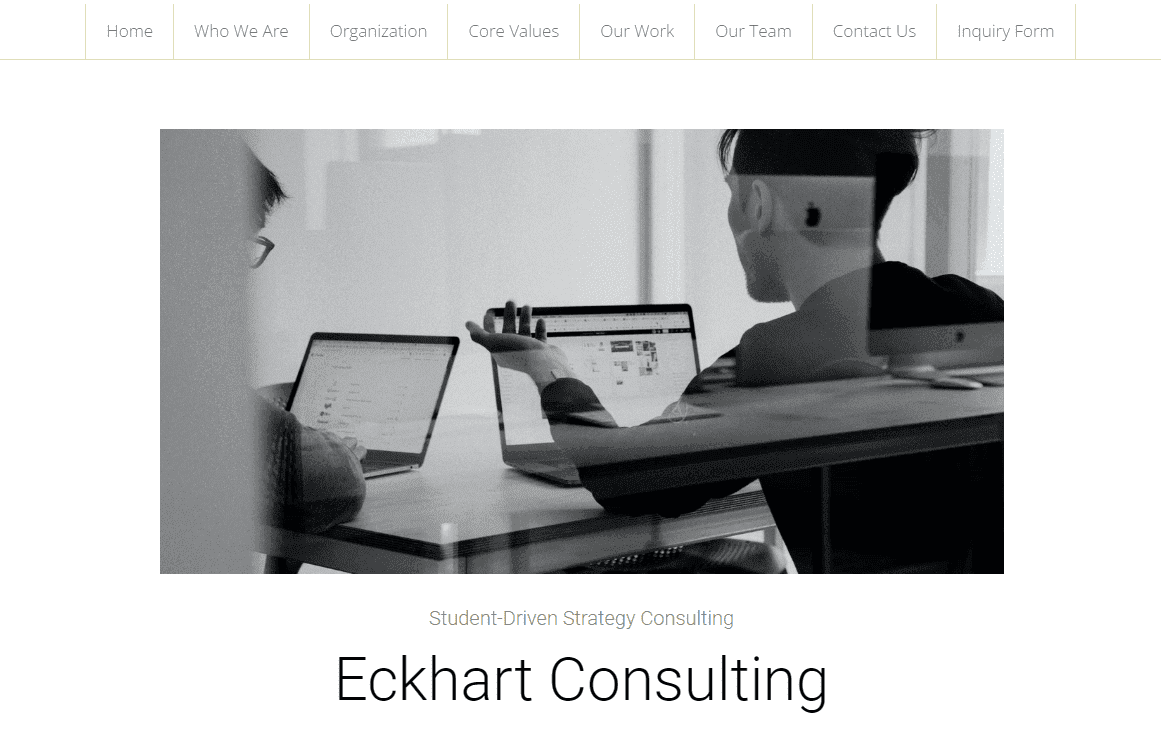 Plantilla minimalista de Strikingly