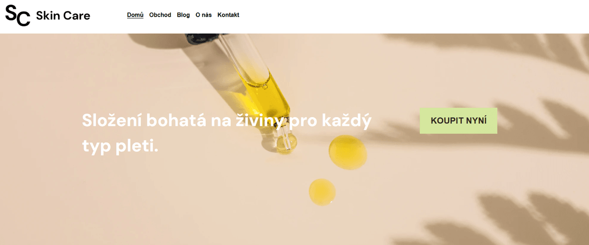 Šablona péče o pleť od Strikingly