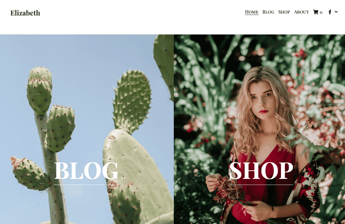 Template Succulent: Template Blog Ritel untuk Kesuksesan