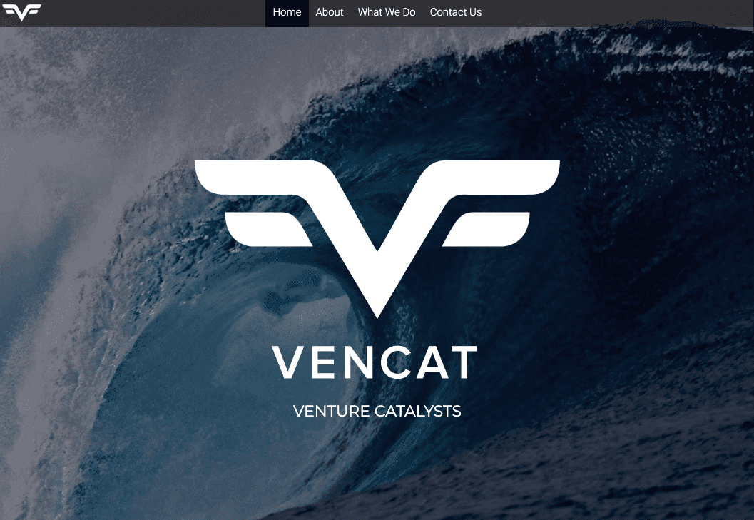 Nome criativo para a empresa: VenCat