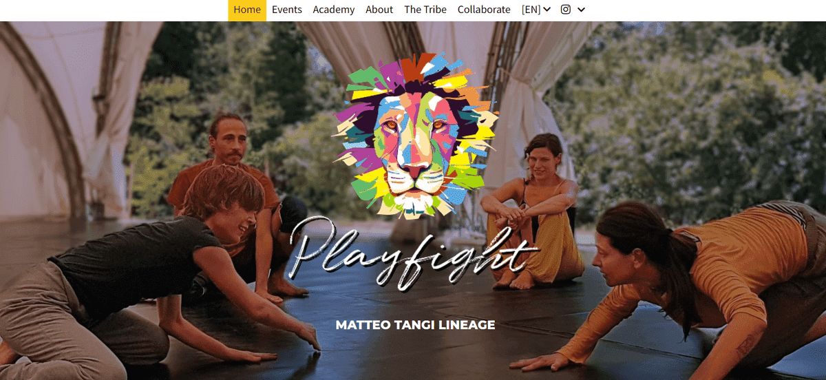 E-commerce Playfight se Strikingly