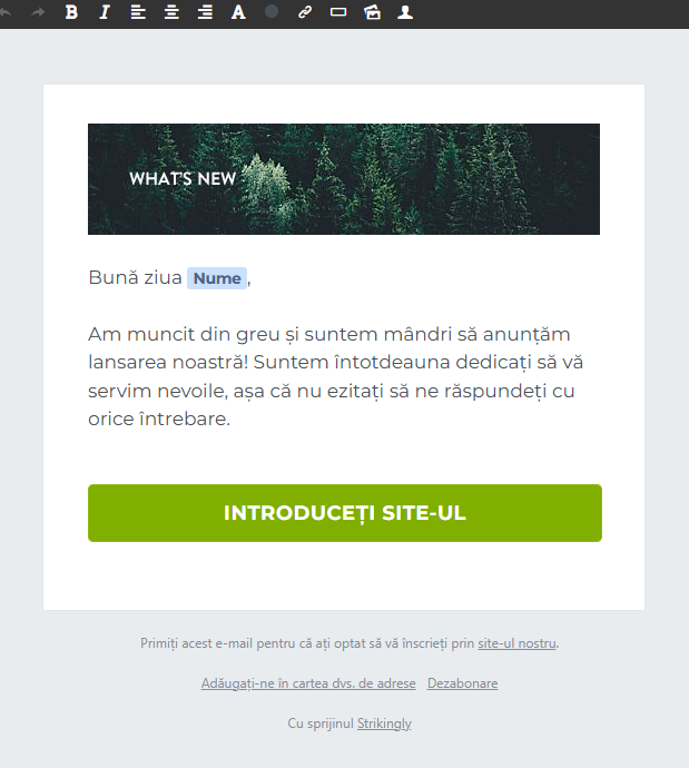 Editor de buletine informative izbitor