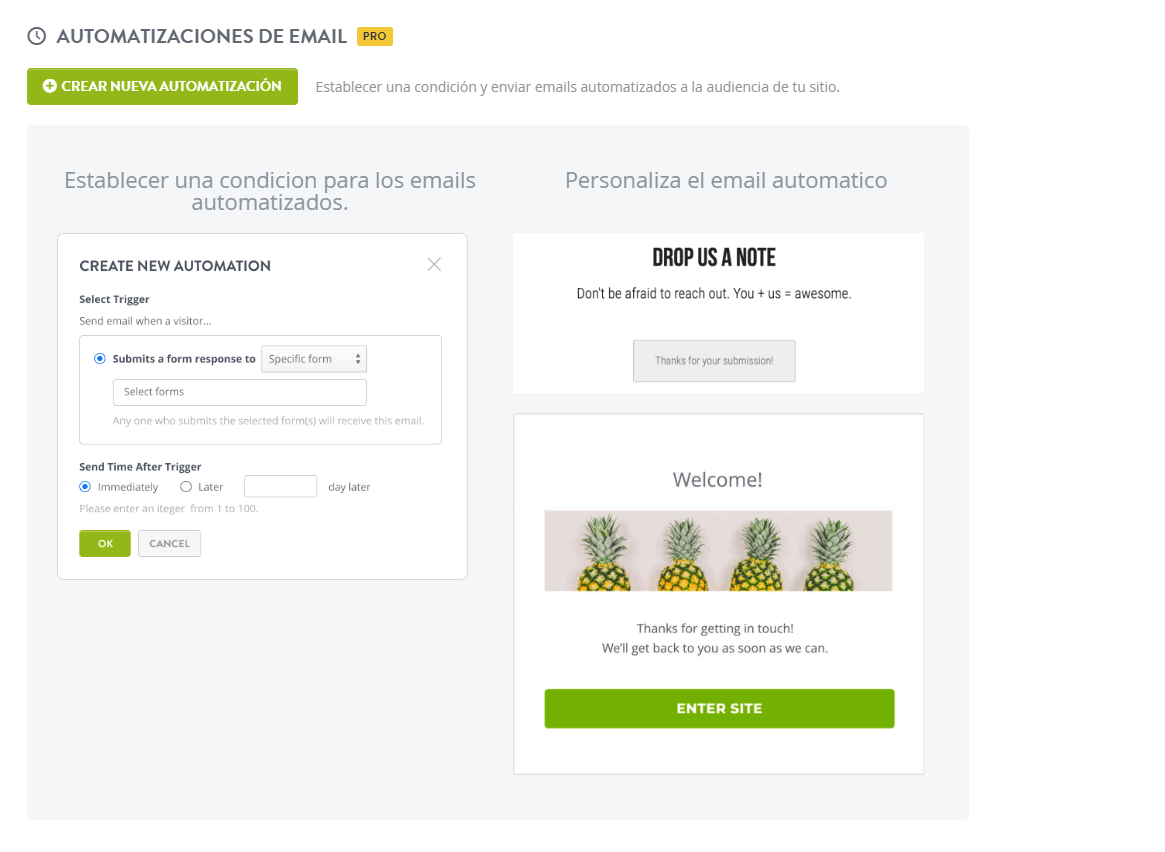 Función de automatización de correo electrónico sorprendente