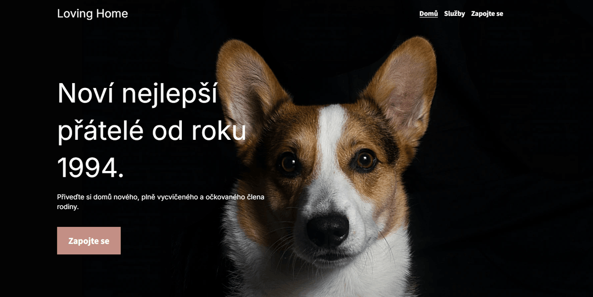 Šablona Milující domov od Strikingly