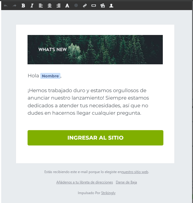 Editor del boletín informativo de Strikingly