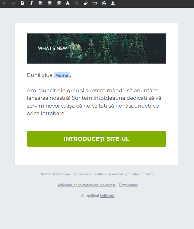 Editor de buletine informative izbitor