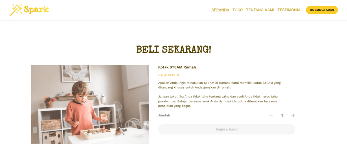 Templat Spark Steam dari Strikerly