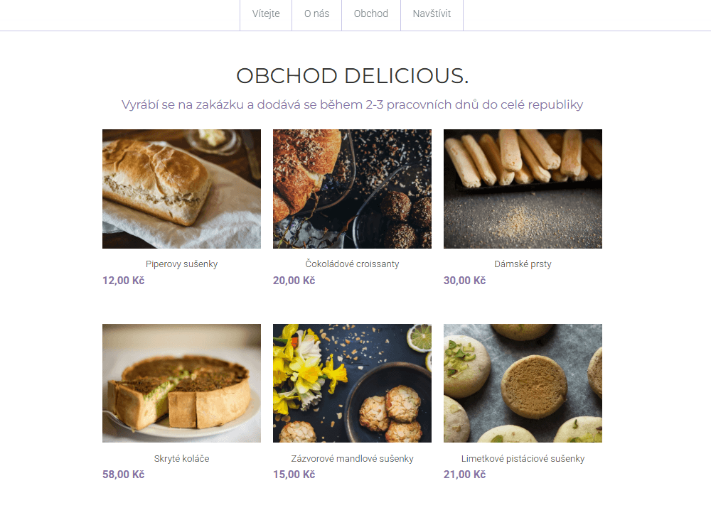 Šablona minimalistického obchodu od Strikingly