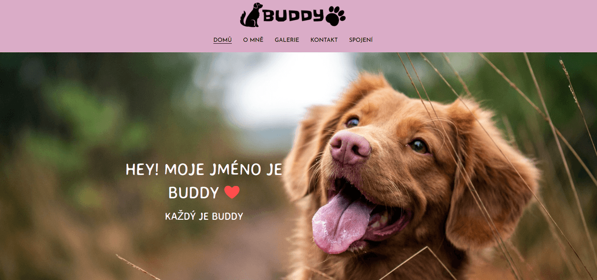 Šablona pro kamarády od Strikingly