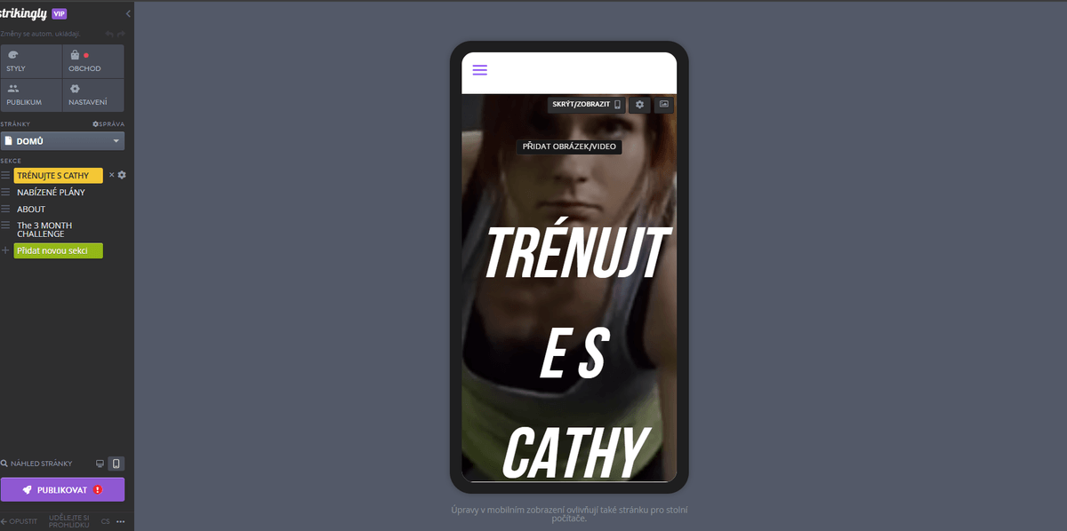 Strikingly - Dokonalý průvodce úspěšným zahájením fitness podnikání - Responzivní šablony