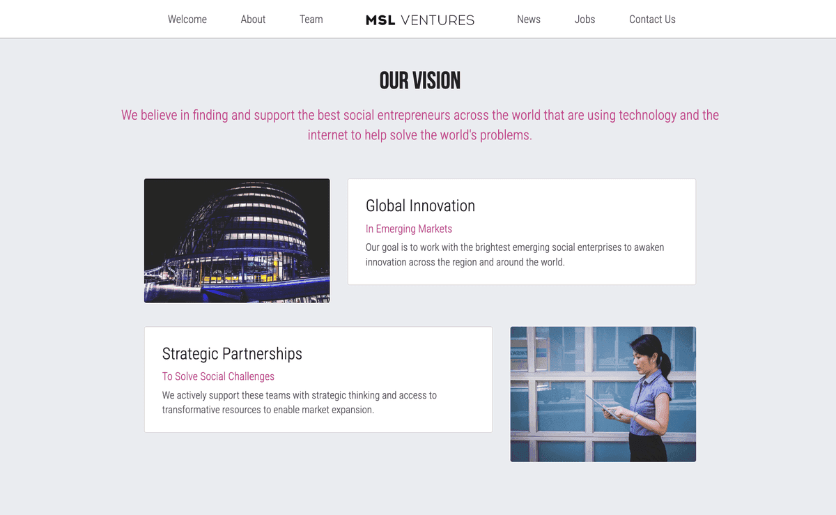 Plantilla MSL Ventures de Strikingly