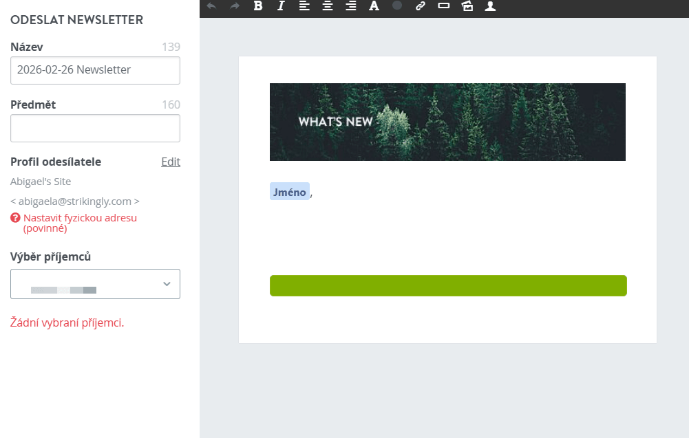 Šablona newsletteru Signaturely