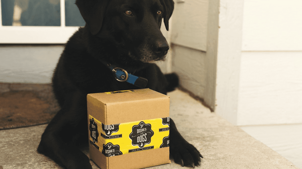 Efektivní strategie pro váš obchodní model předplatného