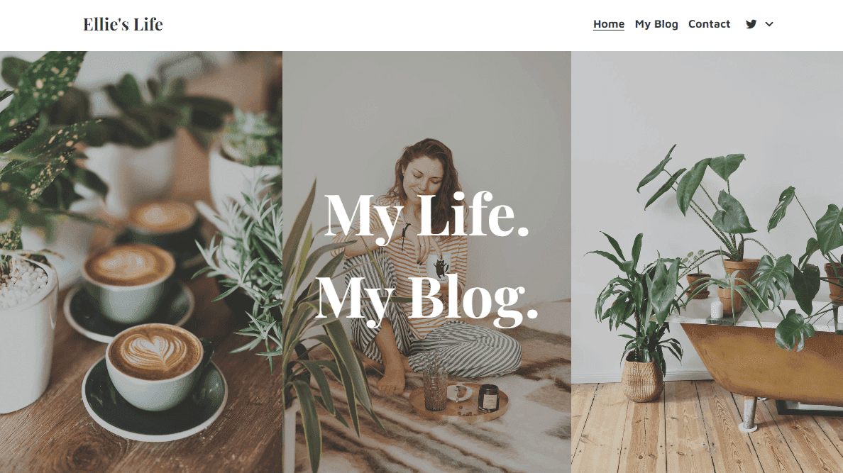 Plantilla de Blog de Moda de Strikingly