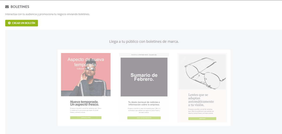 Artículo destacado del boletín informativo Strikingly