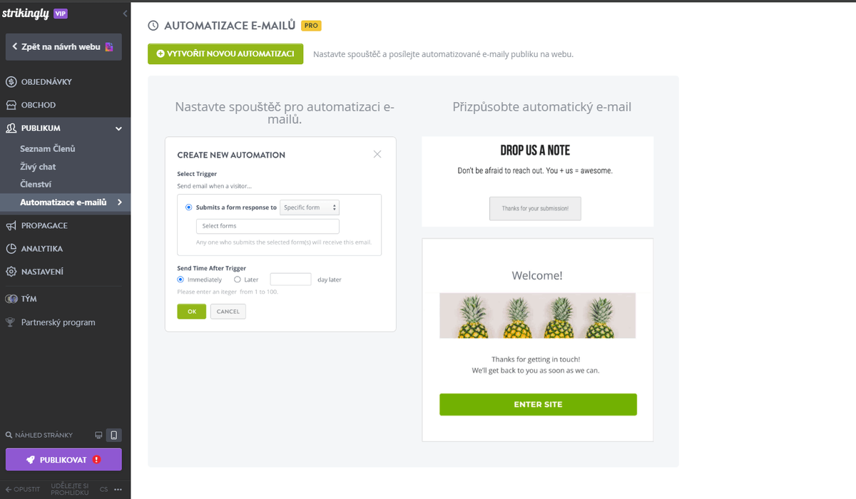 Využití automatické odpovědi na e-maily se Strikingly - Vytvořte kampaň s automatickou odpovědí
