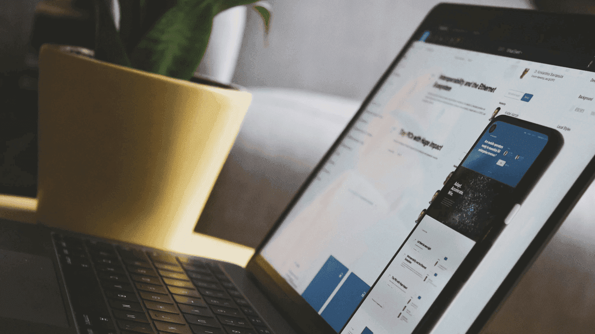 Términos y condiciones